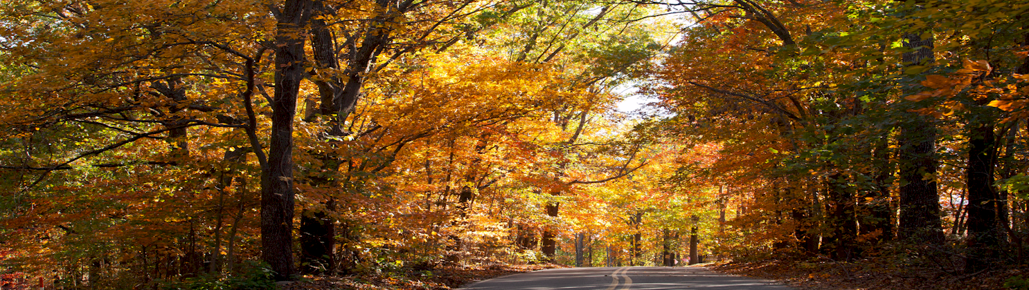 Fall_1