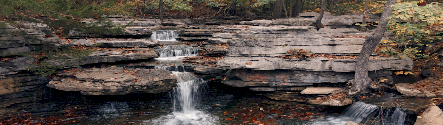 Fall_3