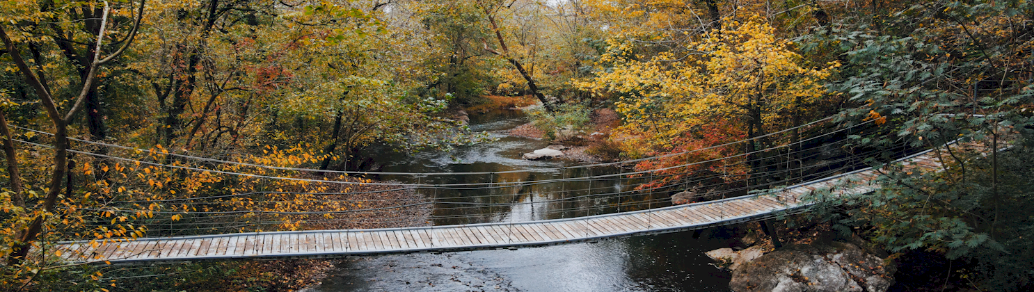 Fall_5